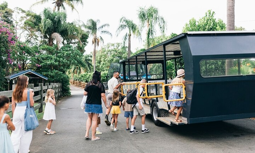 Image 22: Tropical Fruit World Farm Full Tour