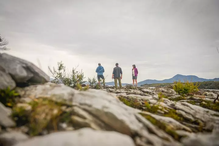 Southwest Tasmania Wilderness Experience: Fly Cruise and Walk Inclu...