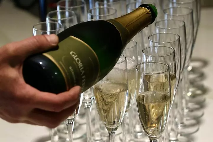 Small Group Napa and Sonoma Half-Day Wine Tour from San Francisco