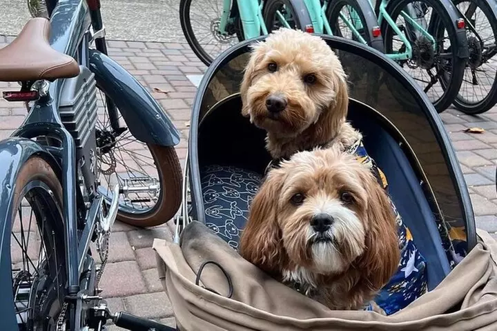 17-Mile Drive Electric Bike Guided Tour