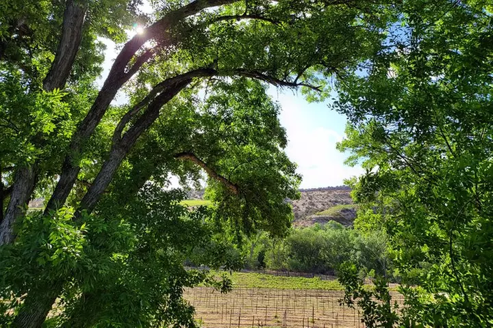 Private Wine Tour, Voted best in town, Tastings Included!