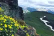 Denali 4 Hour Hiking Adventure with Naturalist Guide - Second Medium