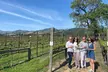 Half Day Join in Group Wine Tasting Tour - Second Medium