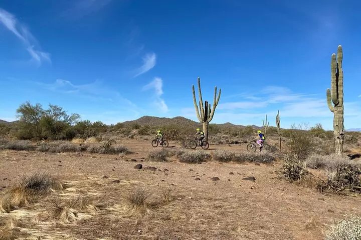 2 Hour Sonoran Desert Private Guided Mountain Bike Tour