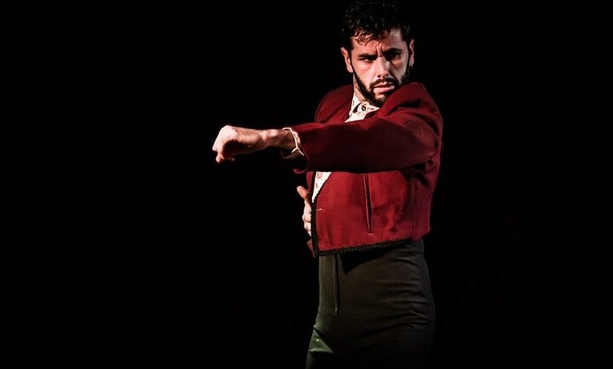 Image 4: Nochevieja y cena de gala en Tablao Flamenco Las Tablas 2025