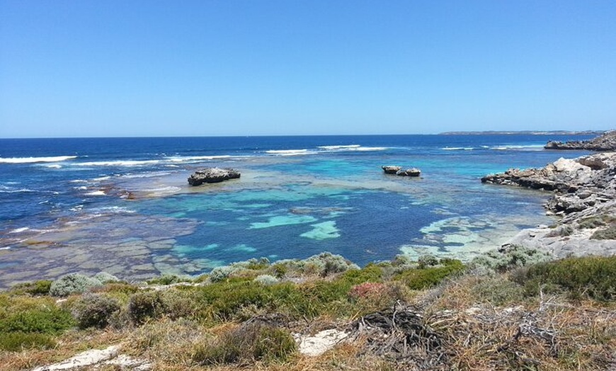 Image 9: Rottnest Island Scenic Flight or 1/2 Day stopover