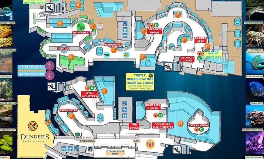 Image 5: Cairns City Half Day Tour