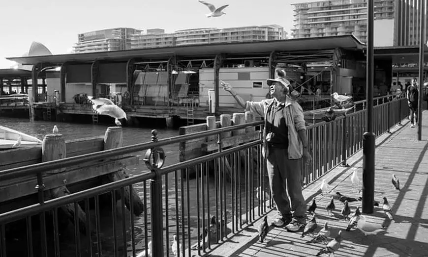Image 1: Private Photo Session with a Local Photographer in Melbourne