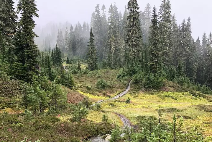 Hike the Gorgeous Trails in Washington