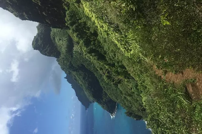 Wild Coastline Adventure- Half day - Primary Image