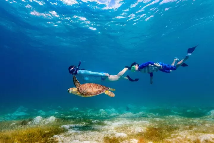 Snorkeling at Hanauma Bay - Primary Image