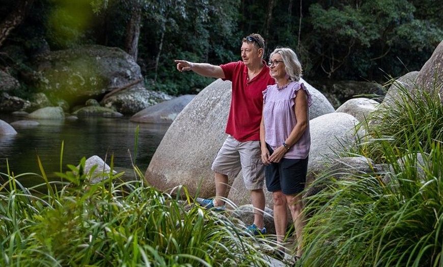 Image 7: Half Day Tour to Daintree Rainforest and Mossman Gorge