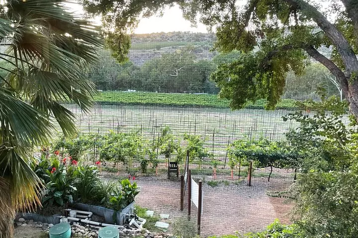 Arizona Winery All-Inclusive Tour with Lunch & Tastings