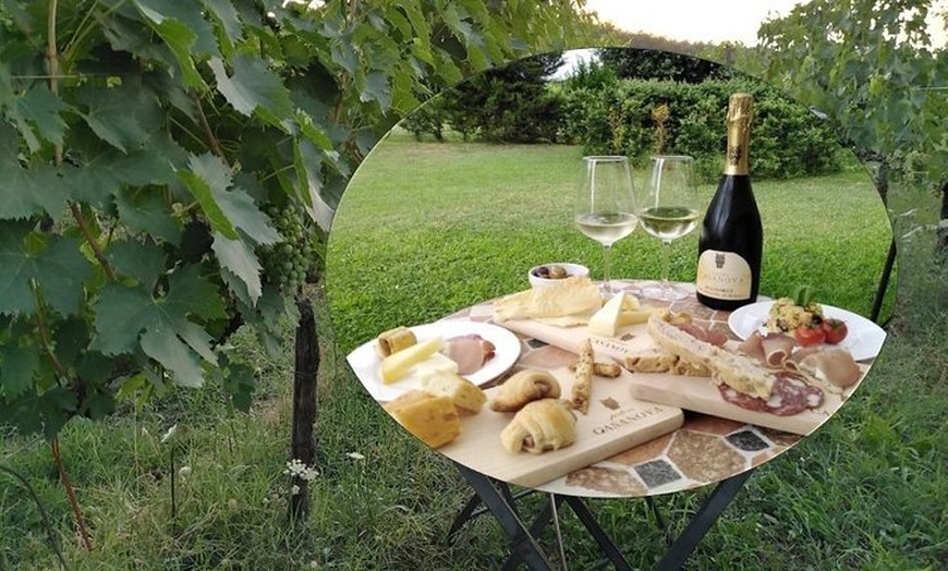 Image 2: PIC NIC tra le vigne del PODERE CASANOVA