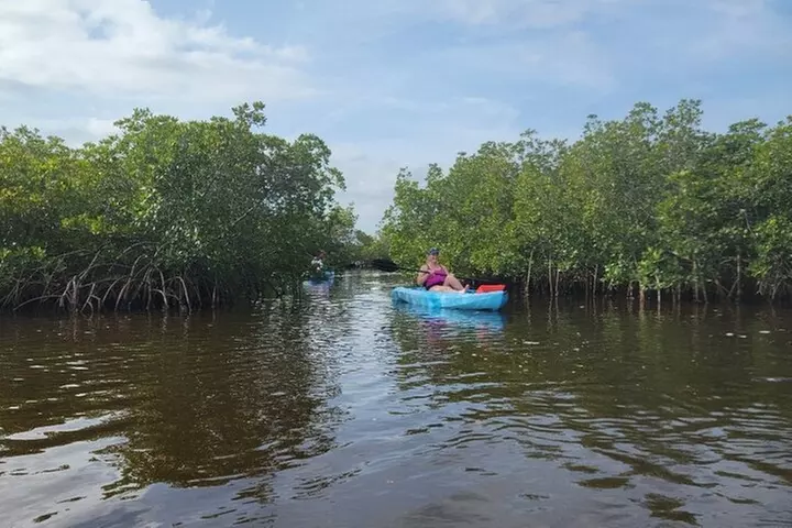 New Smyrna Dolphin and Manatee Kayak and SUP Adventure Tour
