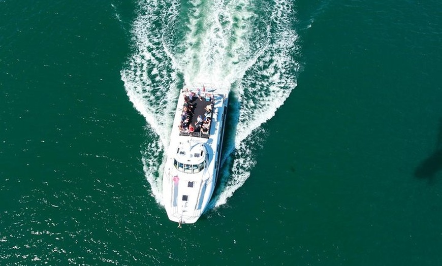 Image 3: Newcastle Whale Watching Cruise