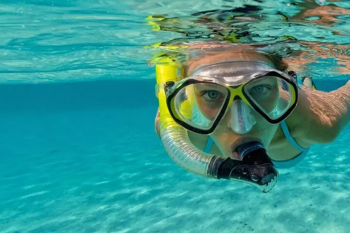 Lauderdale By The Sea Replicated Shipwreck & Reef Snorkel Trails