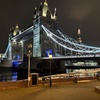 Image 2: Private Tour in London by Night