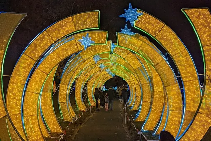 New York City LuminoCity Festival Guided Bus Tour from Manhattan - Primary Image