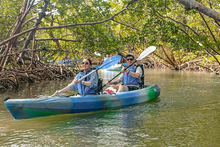 Rookery Bay Kayak Adventure – Mangroves, Wildlife & Photos