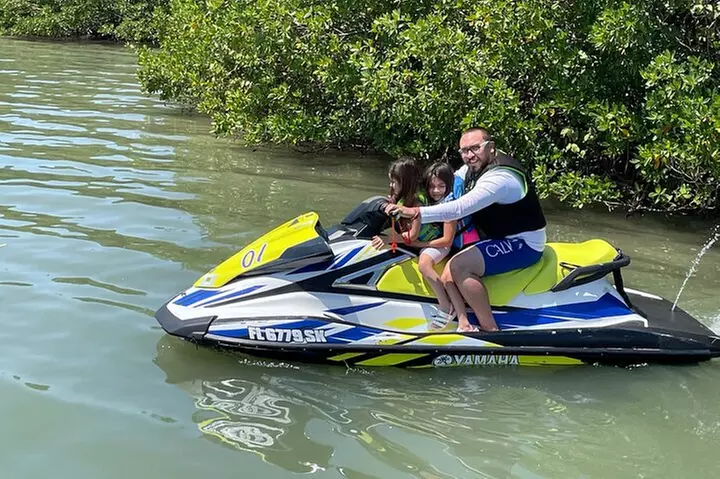 Fort Myers Beach "Free-Range" Jetski Rental