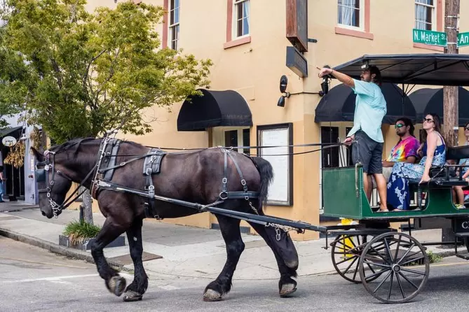 Slavery to Freedom Carriage Tour of Charleston - Primary Image