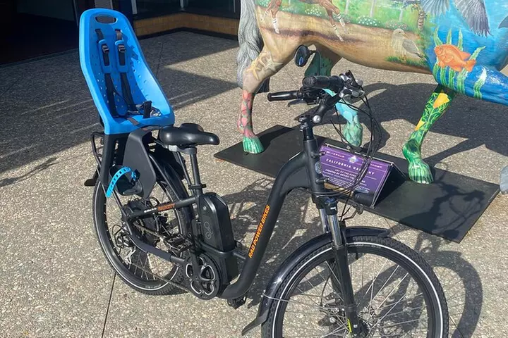 1 Day Electric Bike Rental in Solana Beach - Second Medium