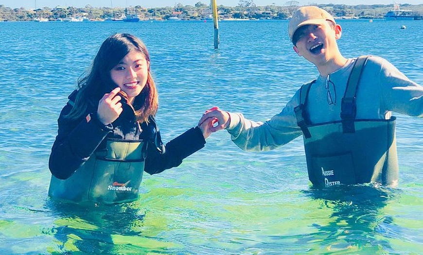 Image 11: Oyster Farm and Tasting Tour with Hotel Pick-up and return from Por...