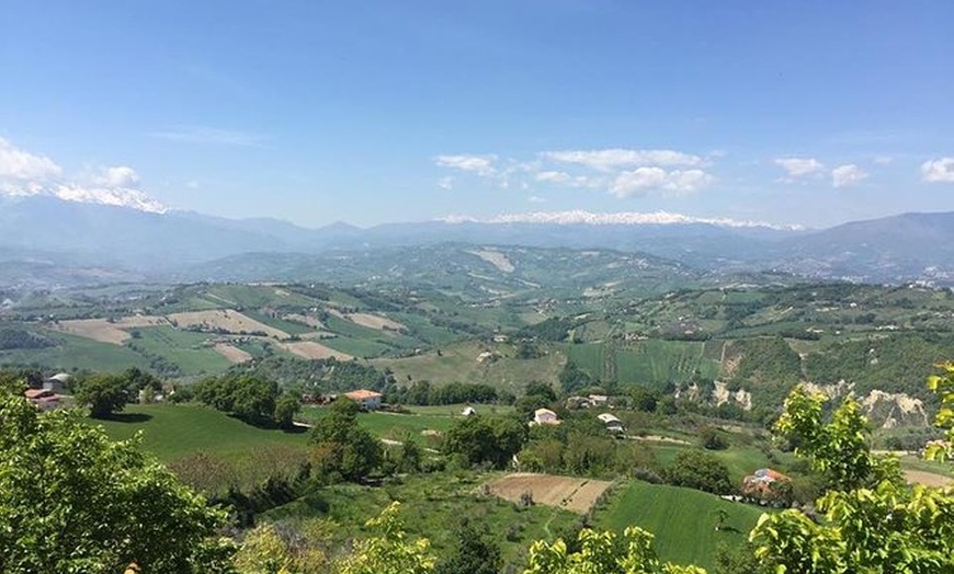 Image 1: Degustazione di Vini con Pranzo nelle Marche e in Abruzzo