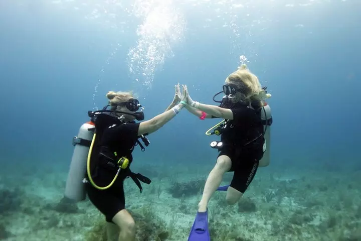 PADI Open Water Diver Course - Primary Image