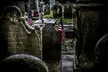Philadelphia's Forgotten Dead - Second Medium