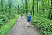 Yonah Mountain Hike Private Tour in Georgia - Second Medium
