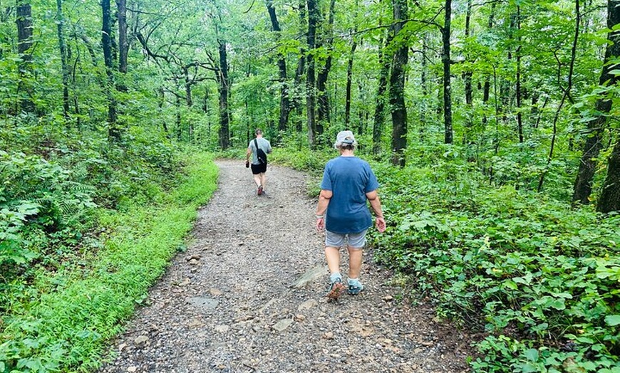 Image 3: Yonah Mountain Hike Private Tour in Georgia