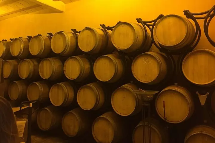 Visite d'un vignoble avec repas et vin à Carcassonne - Second Medium