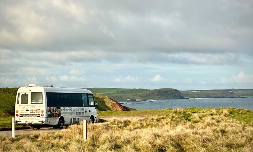 Image 25: Phillip Island Penguin Parade, Wildlife and Beach Boxes Bus Tour