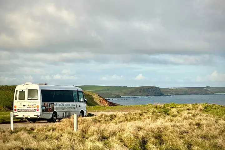 Phillip Island Penguin Parade, Wildlife and Beach Boxes Bus Tour