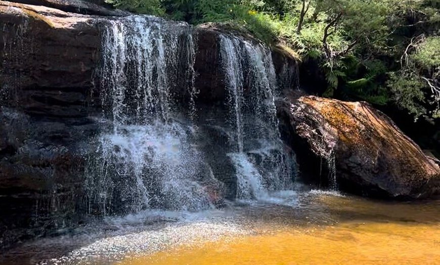 Image 15: Blue Mountains Private Tours Sydney Zoo or Scenic world Options