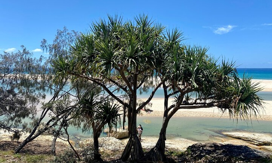 Image 4: North Stradbroke Island WILDLIFE Adventure Tour from Brisbane