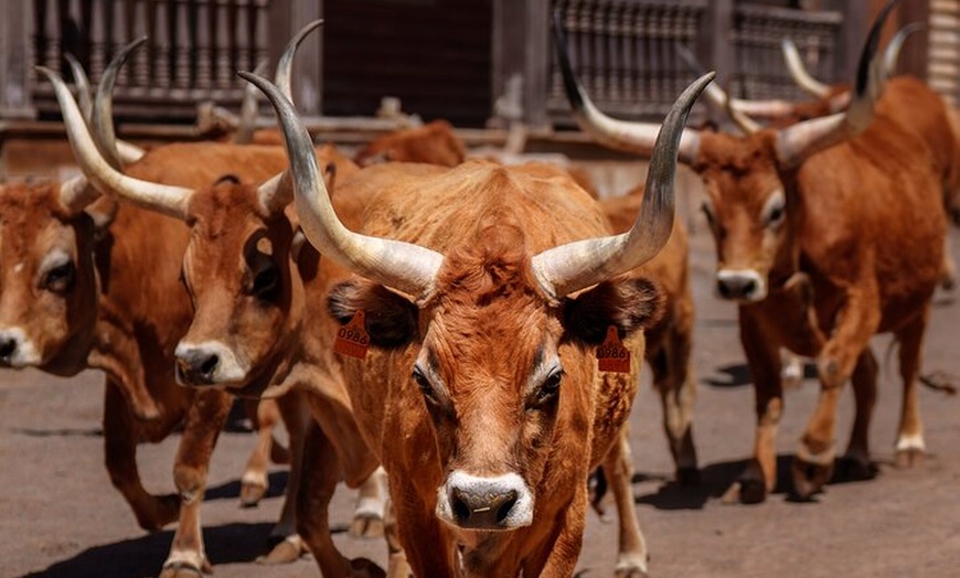 Image 3: Entradas al Sioux City Park