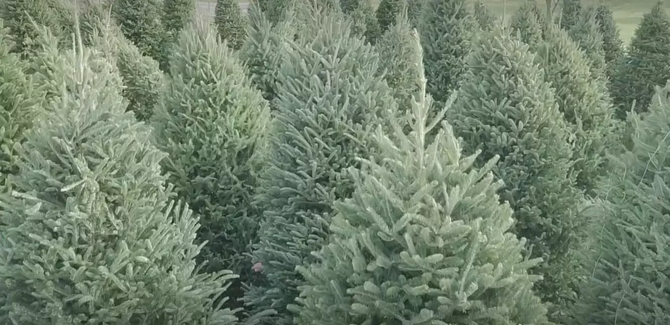 $20 For $40 Worth Of Goods & Services