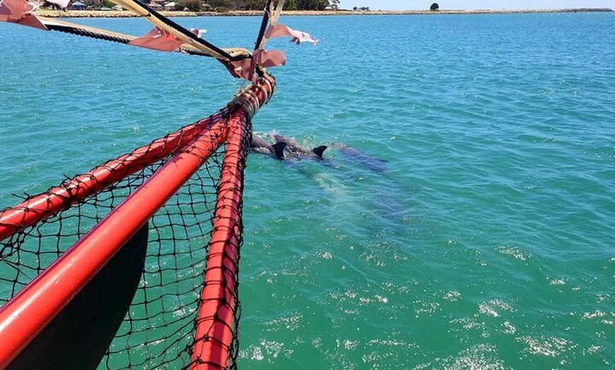 Image 3: The Pirate Cruise in Mandurah on Viator