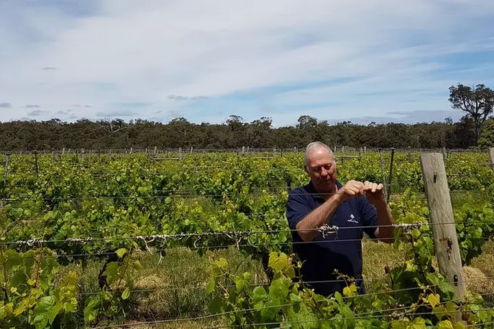 Hidden Gems: Boutique Full-Day Wine, Farm & Lunch Tour