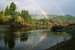 Redwood National and State Parks Self-Guided Audio Driving Tour - Second Medium