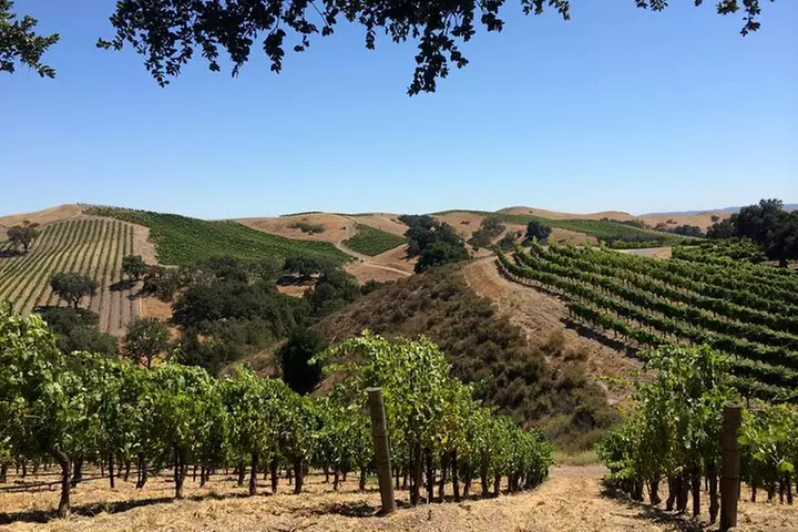 Small-Group Wine Tasting Tour of Santa Barbara Wine Country