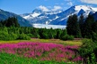 Whittier to Anchorage Post Cruise Wildlife Glacier Tour - Second Medium