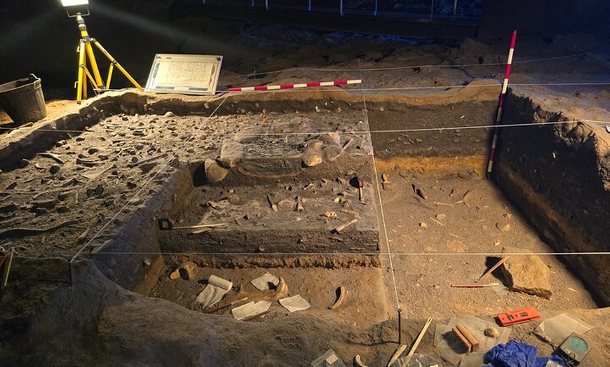 Image 7: Visita Privada a Pie al Museo de Altamira y la Neocueva