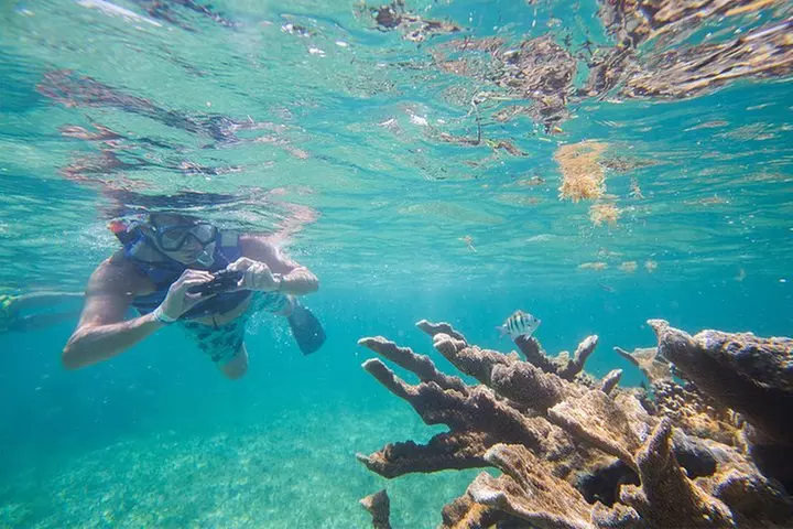 Snorkel in the second largest reef in the world Colorful tour in Pu...