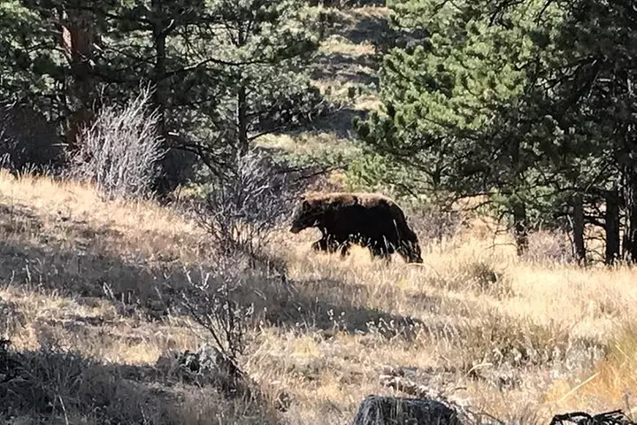 Rocky Mountain National Park in Summer Tour from Denver