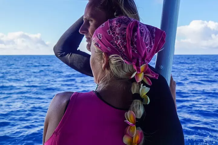 Oahu Swimming with Dolphins Speedboat Adventure