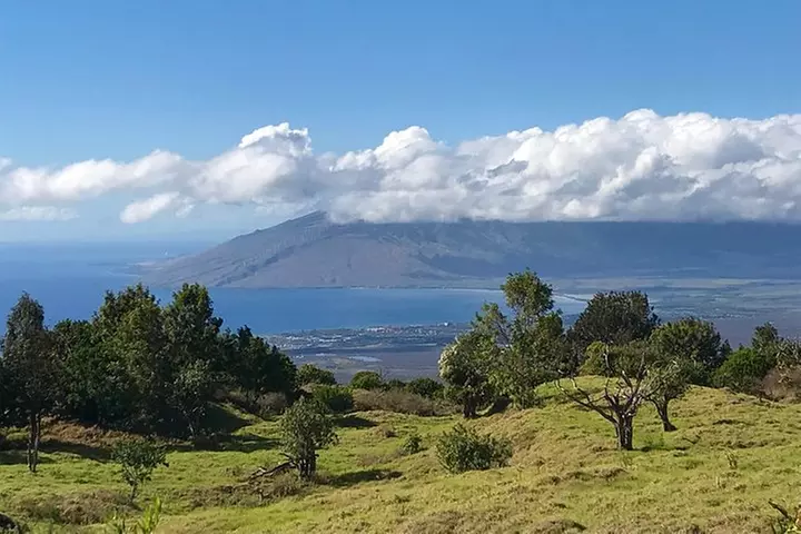 Private Upcountry Maui Tour - Primary Image
